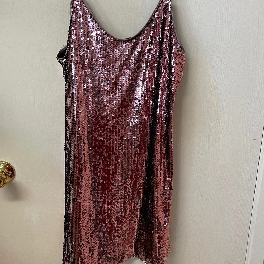 Sparkling Dress